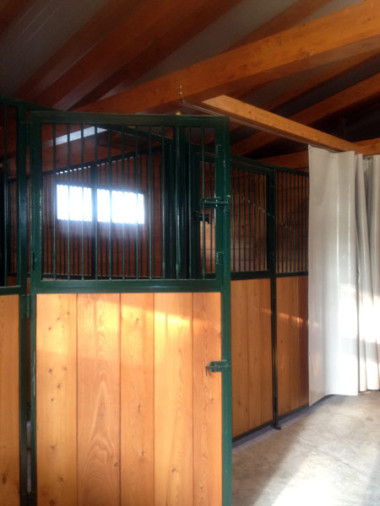box cavalli in legno A11007.jpg